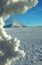 Winter Landscape Royalty Free Stock Photo