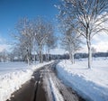 Winter landscape with snow, alley and groomed street Royalty Free Stock Photo