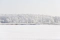 Winter landscape with snow