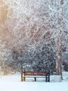 Winter landscape with snow, benches covered with snow among frosty winter trees.