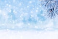 Winter landscape with snow. Christmas background with fir branch
