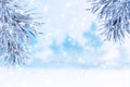 Winter landscape with snow. Christmas background with fir branch