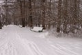 Winter landscape snow covered bench in the city park Royalty Free Stock Photo