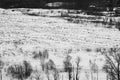 Winter landscape with snow covered field black and white