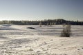 Winter landscape. Snow-covered fields