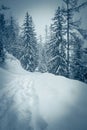 Winter landscape with snow covered fir trees in the mountains. Toned Royalty Free Stock Photo