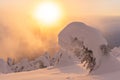 Winter landscape with snow covered firs in the sunset Royalty Free Stock Photo