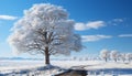 Winter landscape snow covered forest, tranquil meadow, and frozen beauty generated by AI Royalty Free Stock Photo