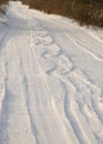 Winter landscape, snow-covered land, trees and fields, beautiful winter road, winter time