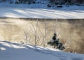 Winter landscape, snow-covered land, trees and fields, frosted small pine silhouette on the river bank, winter time