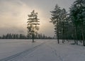 Winter landscape, snow-covered land, trees and fields, tree silhouettes in the backlight, winter time Royalty Free Stock Photo