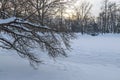 Winter landscape. Snow-covered park on a cold winter day. Snow on tree branches. Bridge over the frozen pond Royalty Free Stock Photo
