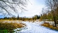 Winter landscape with snow covered path and grass fields in Campbell Valley Park Royalty Free Stock Photo