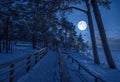 Winter landscape with snow covered pine and fir trees in a moonlight at starry night with full moon. View of coniferous forest Royalty Free Stock Photo