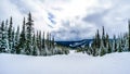 Winter Landscape with Snow Covered Pine Trees in the High Alpine Royalty Free Stock Photo