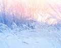 Winter landscape Royalty Free Stock Photo