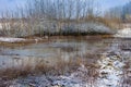 winter landscape with a snow-covered river bank, Royalty Free Stock Photo