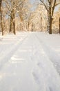 Winter landscape with snow covered road and bare trees Royalty Free Stock Photo