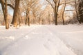 Winter landscape with snow covered road and bare trees Royalty Free Stock Photo