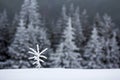 Winter landscape with snow covered small pine tree Royalty Free Stock Photo