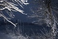 Winter landscape with snow-covered tree branches on the river bank during a snowfall. Beautiful winter landscape. in the