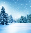 Winter landscape with snow covered trees.Christmas background Royalty Free Stock Photo