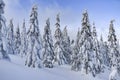 Winter landscape, snow-covered trees in the mountains. Karkonosze, Poland Royalty Free Stock Photo