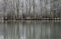 Winter Landscape of Snow Covered Trees Reflecting in Lake Royalty Free Stock Photo