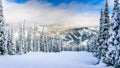 Winter Landscape with Snow Covered Trees on the Ski Hills near the village of Sun Peaks