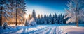 Winter landscape with snow covered trees. Royalty Free Stock Photo