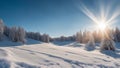 winter landscape with snow covered trees, winter space of snow with blue sky and sun rays. a photo a cold and bright mood Royalty Free Stock Photo
