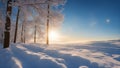 winter landscape with snow covered trees winter space of snow with blue sky and sun rays a photo a cold and bright mood Royalty Free Stock Photo
