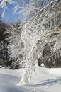Winter landscape, snow drifts Royalty Free Stock Photo