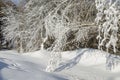 Winter landscape, snow drifts Royalty Free Stock Photo