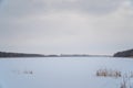 Winter landscape. A snow field or a large lake under the snow in front of a forest Royalty Free Stock Photo