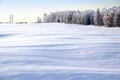 Winter landscape. The snow field and the edge of the forest on the horizon