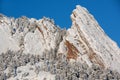 Snow Flocked Flatirons and Conifers Royalty Free Stock Photo