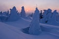 Winter landscape of snow ghosts - Harghita madaras