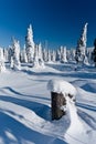 Winter landscape of snow ghosts - Harghita madaras