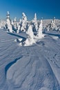 Winter landscape of snow ghosts - Harghita madaras Royalty Free Stock Photo