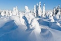 Winter landscape of snow ghosts - Harghita madaras Royalty Free Stock Photo