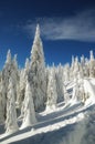 Zimná krajina so snehom v horách