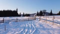 Winter Landscape with snow in pine tree forest. Christmas time Royalty Free Stock Photo