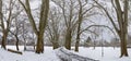 Winter landscape with snow. Snow-covered sycamore alley. Straznice - Czech Republic