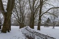 Winter landscape with snow. Snow-covered sycamore alley. Straznice - Czech Republic