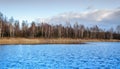 Winter landscape without snow, view of the opposite shore of the lake and trees.