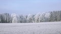 Winter landscape and snow wrapped trees in Sumava, Czech republic, Royalty Free Stock Photo