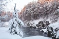 Winter landscape with snowbound evergreen fir growing on rocky riverbed. Open water at winter season, Karelia Royalty Free Stock Photo