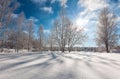 Winter landscape