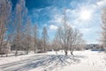 Winter landscape